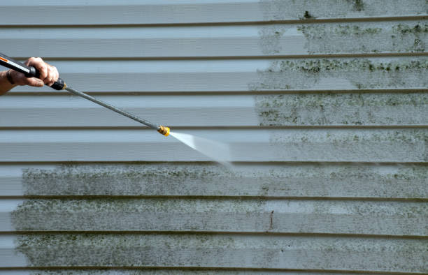 Mold Removal Process in Fort Thompson, SD