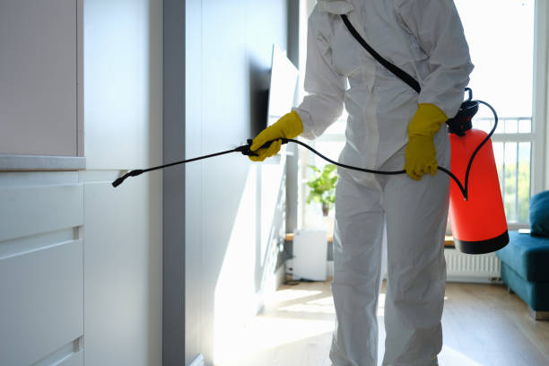 Best Office Mold Removal Services  in Fort Thompson, SD