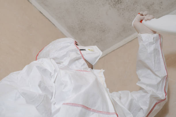 Fort Thompson, SD Mold Removal Company