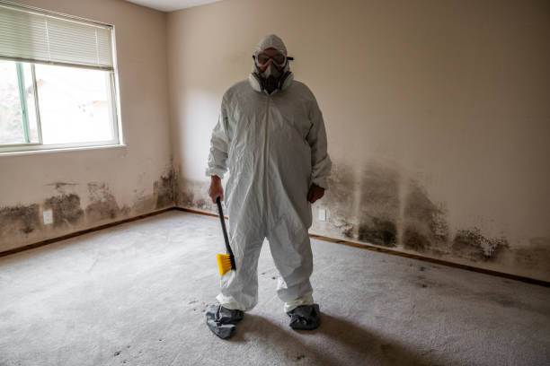 Best Affordable Mold Removal  in Fort Thompson, SD