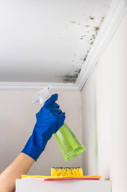 Best Emergency Mold Removal  in Fort Thompson, SD