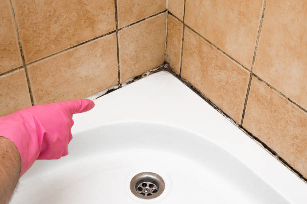 Best Fast Mold Removal  in Fort Thompson, SD